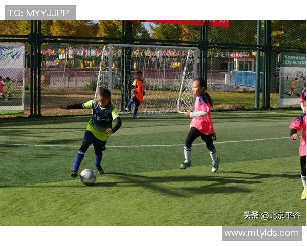 足球小孩的梦想旅程如何在绿茵场上绽放光彩与希望